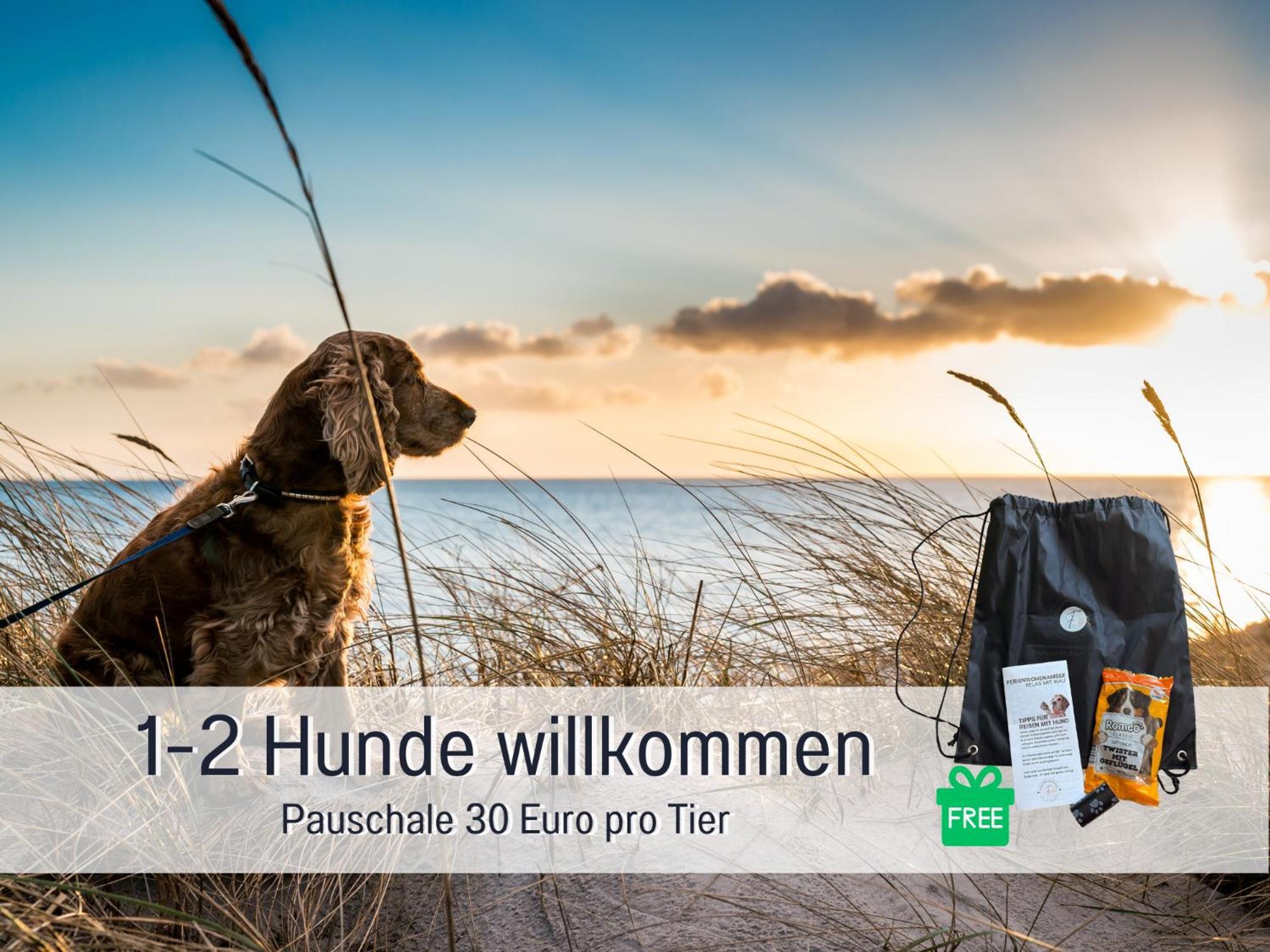 Sonnenterrasse - 3 Schlafzimmer, Whirlpool & Alpenblick - Perfekt Fuer Romantik Oder Familienurlaub Mit Kind , Hund Willkommen By Ferienwohnenamsee - Uberlingen Buitenkant foto