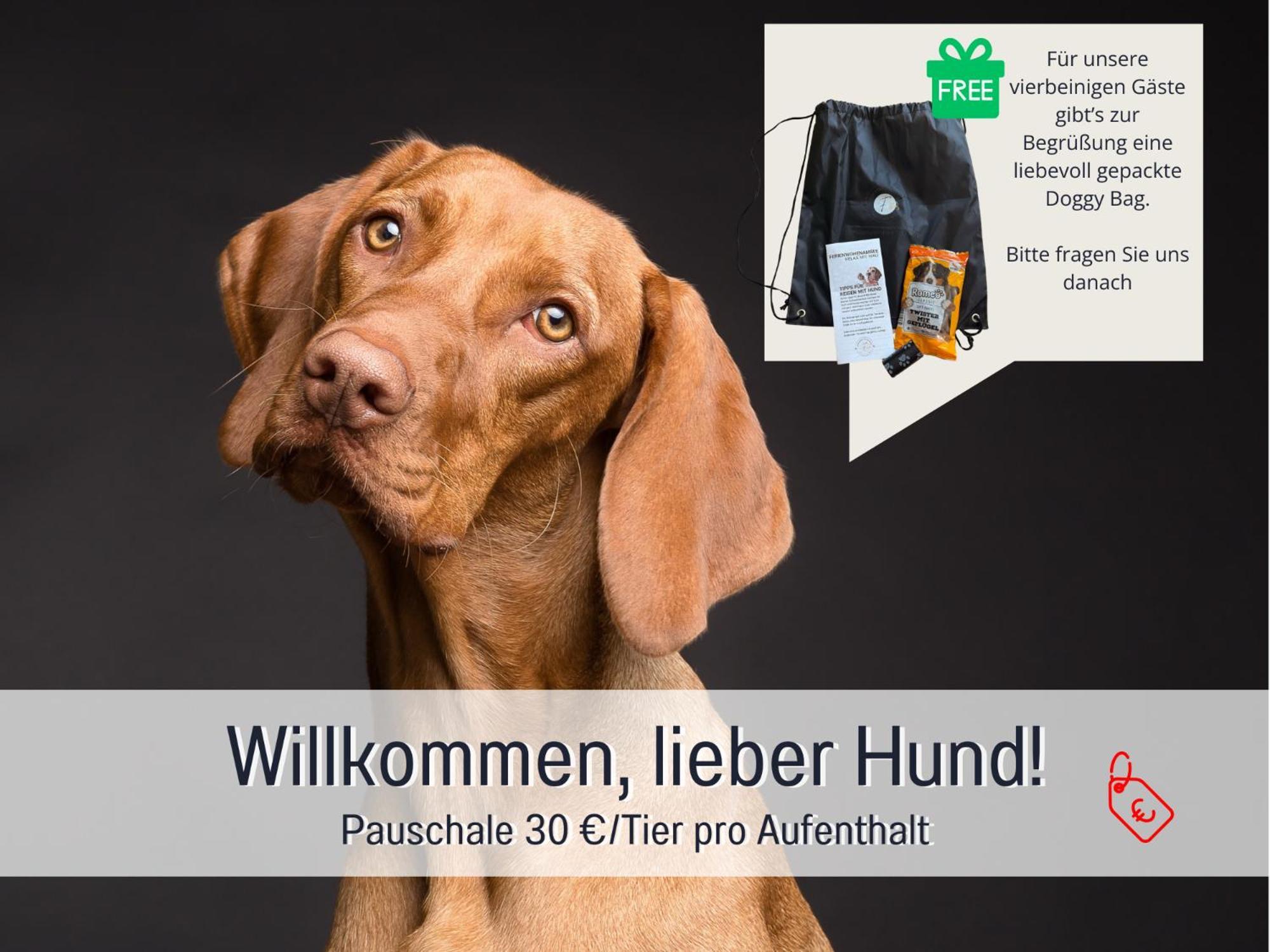 Sonnenterrasse - 3 Schlafzimmer, Whirlpool & Alpenblick - Perfekt Fuer Romantik Oder Familienurlaub Mit Kind , Hund Willkommen By Ferienwohnenamsee - Uberlingen Buitenkant foto