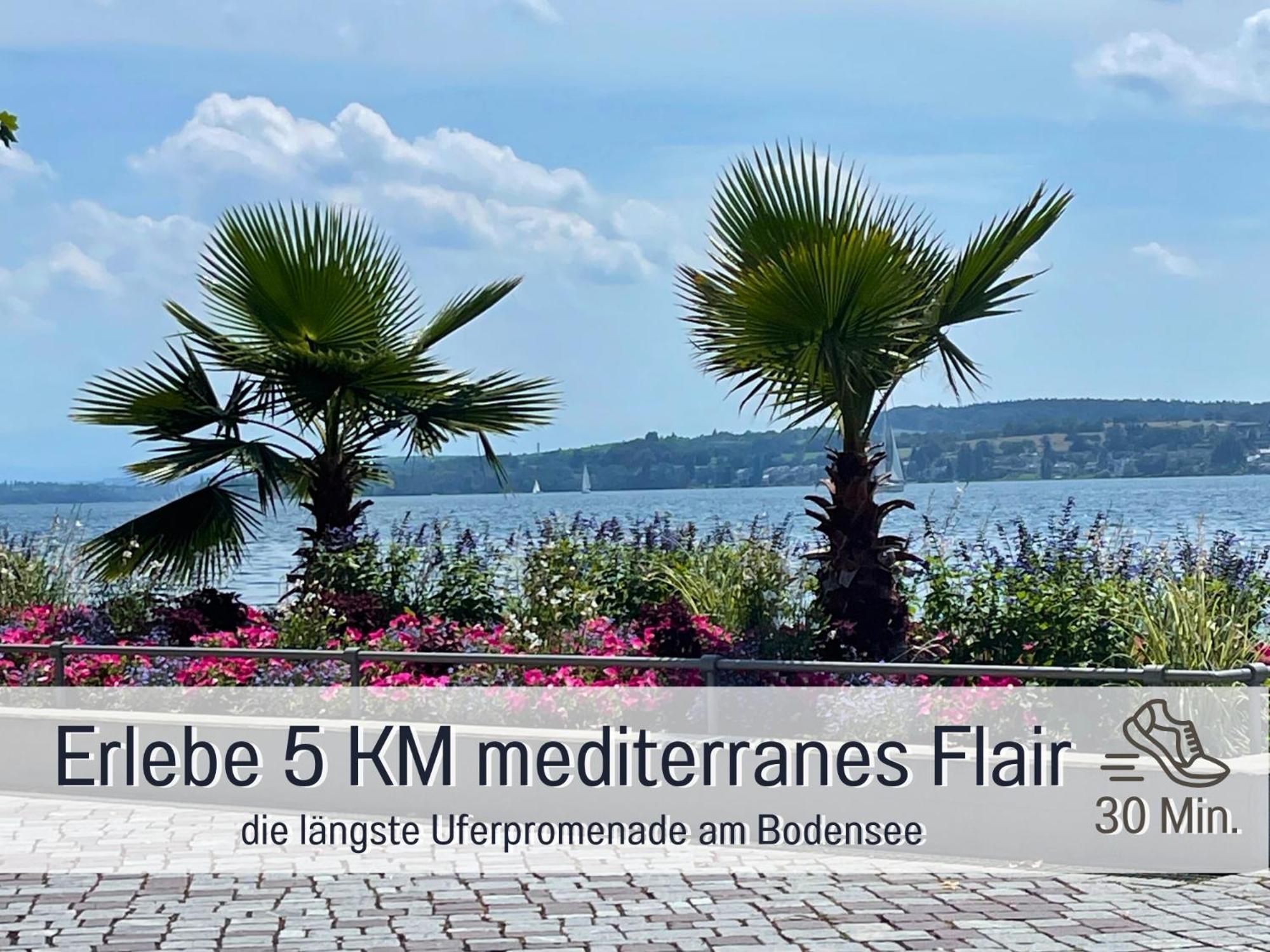 Sonnenterrasse - 3 Schlafzimmer, Whirlpool & Alpenblick - Perfekt Fuer Romantik Oder Familienurlaub Mit Kind , Hund Willkommen By Ferienwohnenamsee - Uberlingen Buitenkant foto